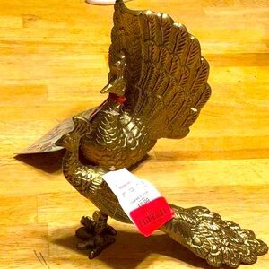 Two peacocks from India